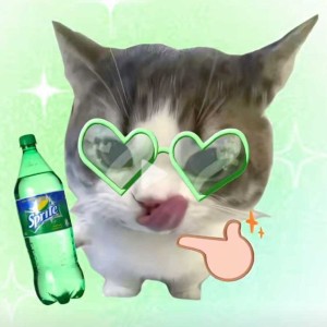 雪碧小猫的钢琴谱