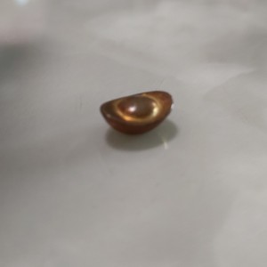 小小荔枝～蛋仔玩家的钢琴谱