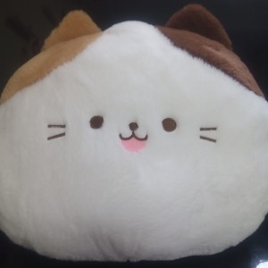 花海的演奏视频