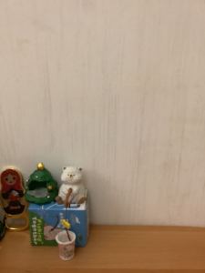 小小🐘的个人空间