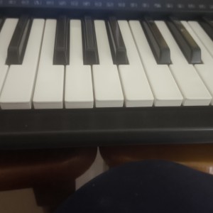 的演奏视频