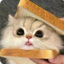 死别的演奏视频