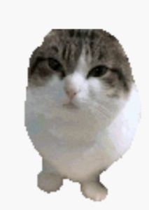 西海！敬礼！的钢琴谱