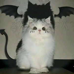 糖T Y N的钢琴谱