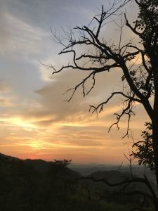 惊魂夜的钢琴谱