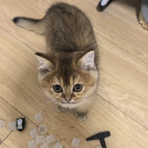 别惹我,我精神分裂症💩的个人空间