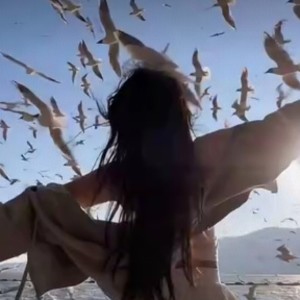 小羊遇奇的钢琴谱