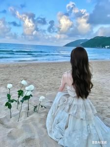 海盐与白玫瑰 ✨的钢琴谱