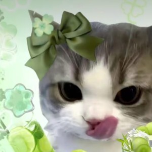 193****1920的钢琴谱