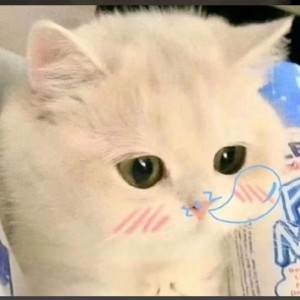 小猫芝士堡•ɷ•的钢琴谱