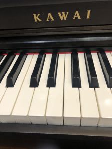 飞奔的帕洛米诺小马 primo的演奏视频