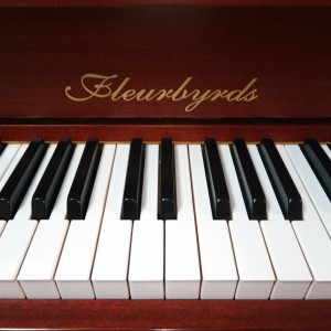 Someone You Loved的演奏视频