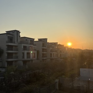 风吹落枫的钢琴谱