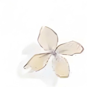 怃.永生的个人空间