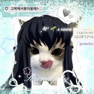 诀别书的演奏视频