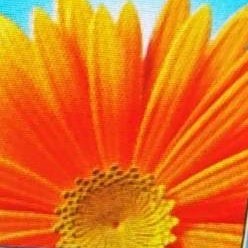 『炽焰』l want happy的个人空间