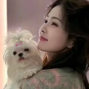 白鹿❤的钢琴谱