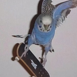 Call of Silence的演奏视频