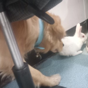 天气之子的演奏视频