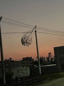 九万字的演奏视频