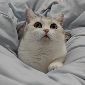 我想多财多亿的钢琴谱