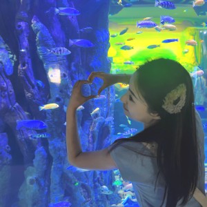 断念姑娘的钢琴谱