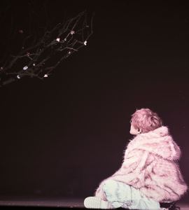 凌神意.的钢琴谱