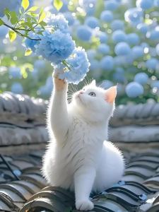 星椰礼🎶🦋的钢琴谱