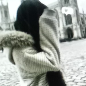 小猫情的钢琴谱