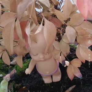 小狗圆舞曲的演奏视频