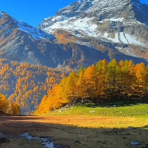 ch～Россия的钢琴谱