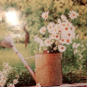 夜莺在唱歌的演奏视频