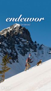 南瓜鱼子酱的钢琴谱