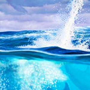 玫瑰探戈的演奏视频