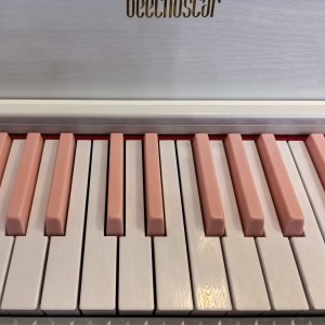 191****7591的个人空间