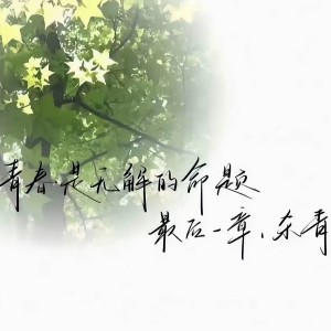 人间一两风的钢琴谱