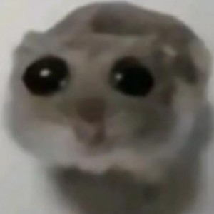 [鼠之家]老鼠爱吃老鼠片的钢琴谱