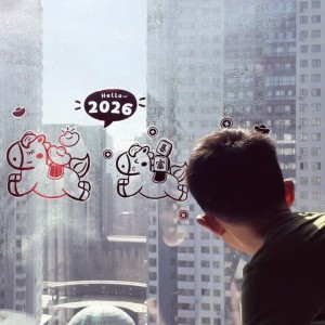 Max的个人空间