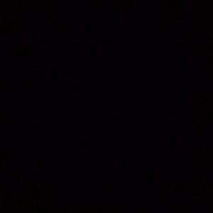 军训去了的钢琴谱