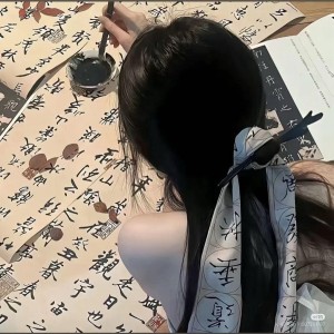 晚夜微雨问海棠的演奏视频