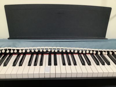 野蜂飞舞的演奏视频