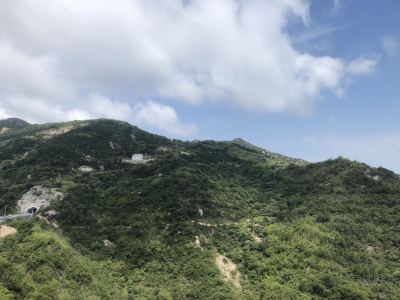 会弹钢琴的救世主的钢琴谱