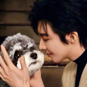 195****6636的钢琴谱