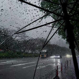 雨夜💦的个人空间