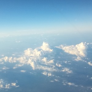 虫虫管理员的钢琴谱