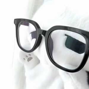 对不起的钢琴谱