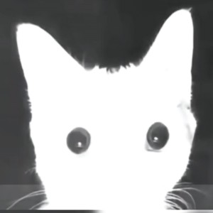 夜行者的个人空间