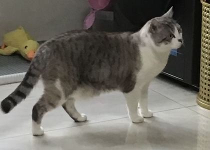 186****6364的个人空间