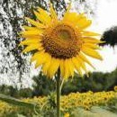 186****4859的个人空间