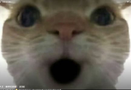 鼠鼠🐭的钢琴谱